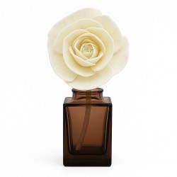 Corde de Diffusion...