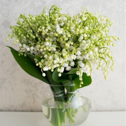 Muguet