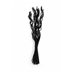Branches Torsadées Noires