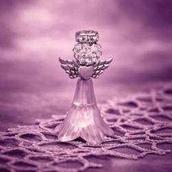 Parfum Starlette