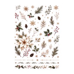 Transfert A5 Jardin d'Hiver