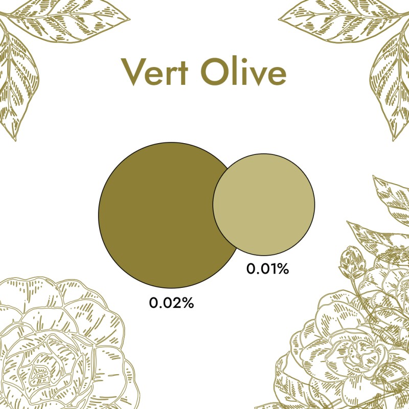 Colorant Liquide Vert Olive