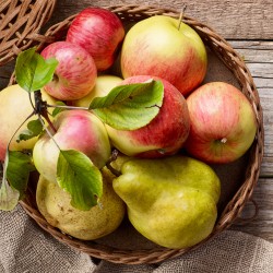 Parfum Bougie Pomme Poire