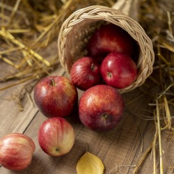 Parfum Bougie Red Apple