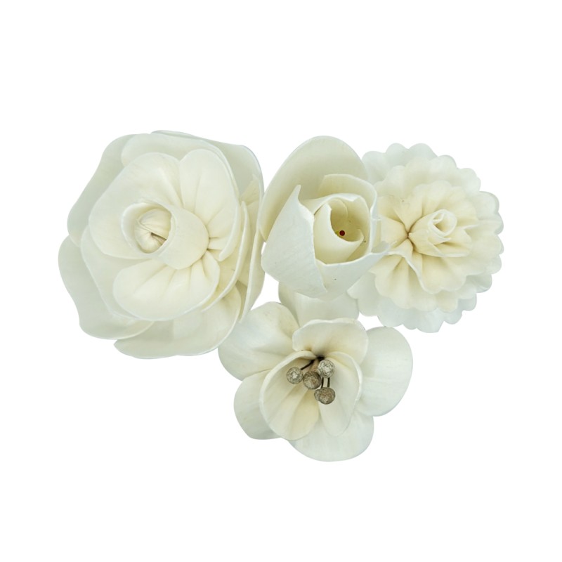 Kit Flacon Diffuseur 250ml 4 Fleurs