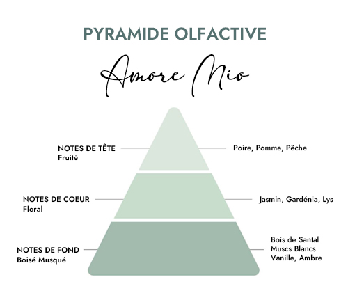 Pyramide olfactive parfum bougie amore mio