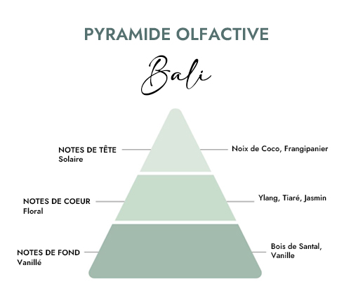Pyramide olfactive parfum bali creacire