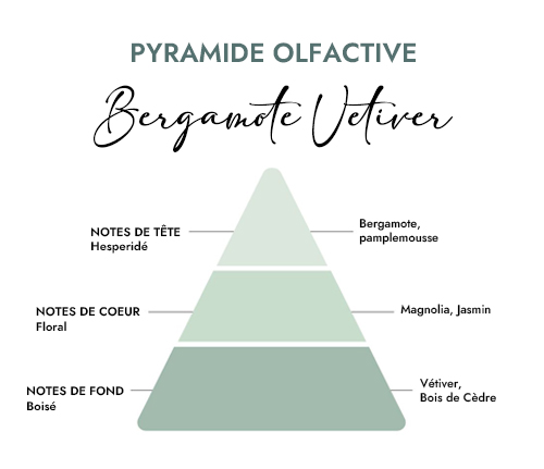Pyramide olfactive parfum bergamote vetiver Creacire