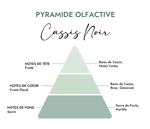 Pyramide olfactive parfum Cassis Noir Creacire