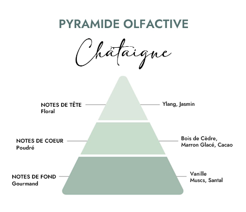 Pyramide olfactive parfum bougie creacire chataigne