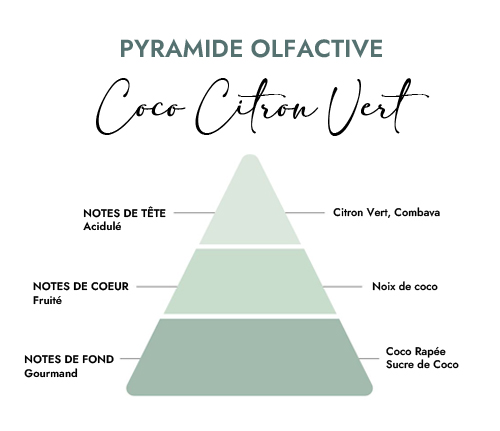 Pyramide olfactive parfum bougie coco citron vert