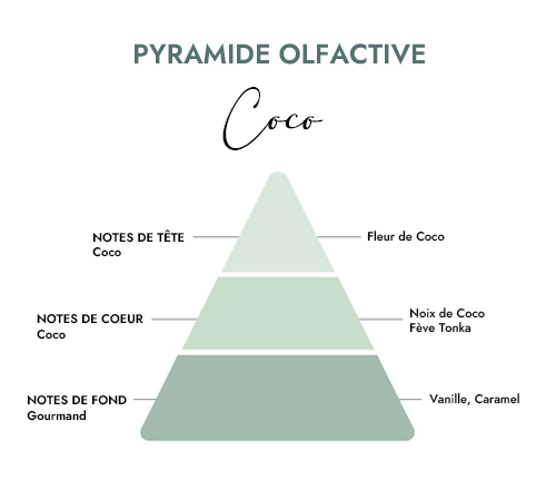 Pyramide olfactive parfum bougie creacire coco