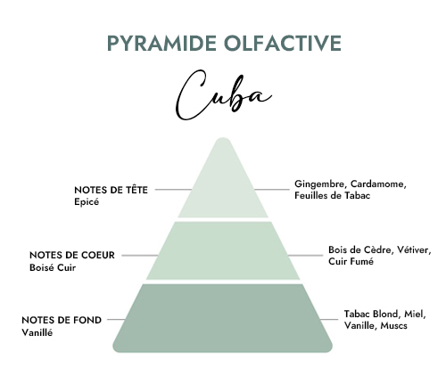 Pyramide olfactive parfum Cuba Creacire