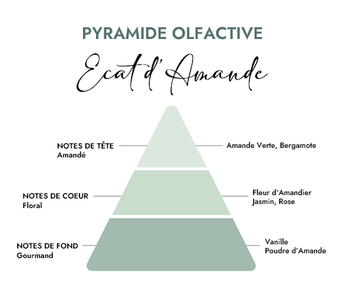 Pyramide olfactive parfum bougie creacire eclat d amande