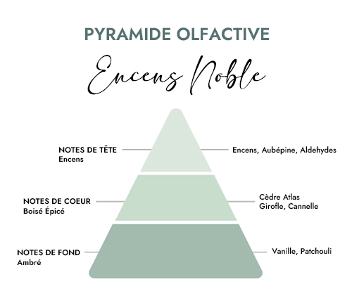 Pyramide olfactive parfum bougie creacire encens noble