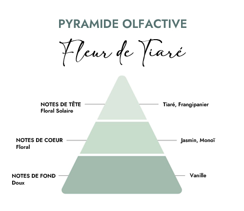 Pyramide olfactive parfum bougie fleur de tiaré