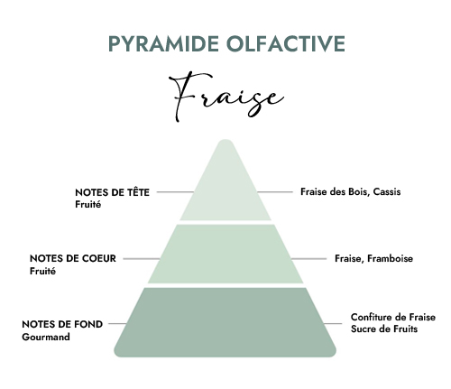 Pyramide olfactive parfum bougie fraise