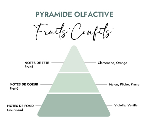 Pyramide olfactive parfum bougie creacire fruits confits
