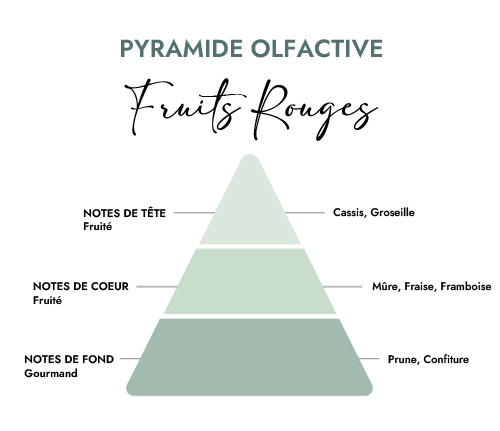 Pyramide olfactive parfum bougie fruits rouges