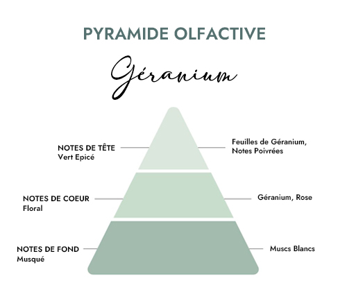 Pyramide olfactive parfum bougie geranium