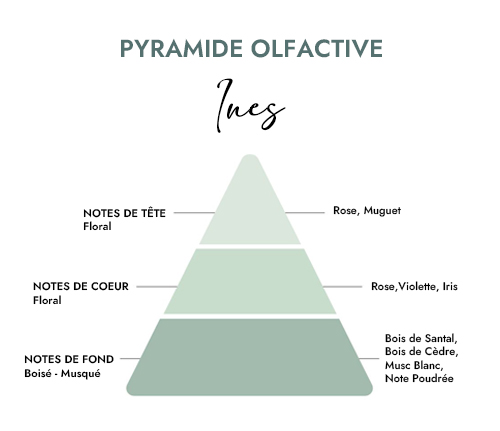 Pyramide olfactive parfum bougie ines