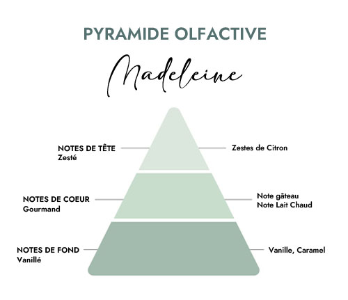 Pyramide olfactive parfum bougie madeleine