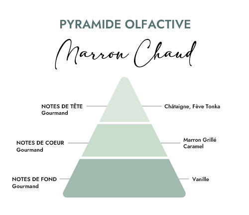 Pyramide olfactive parfum bougie marron chaud