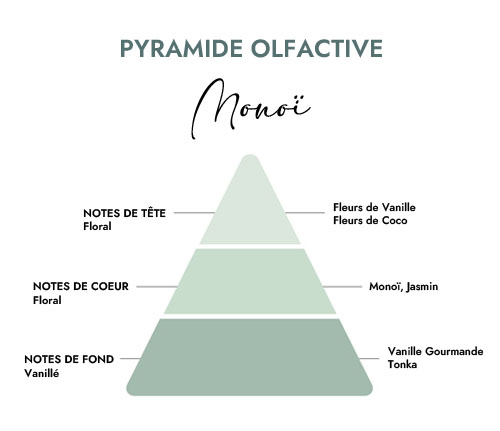 Pyramide olfactive parfum bougie monoï