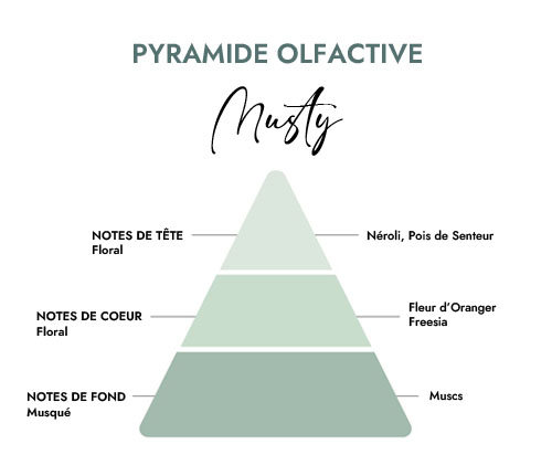 Pyramide olfactive parfum bougie musty
