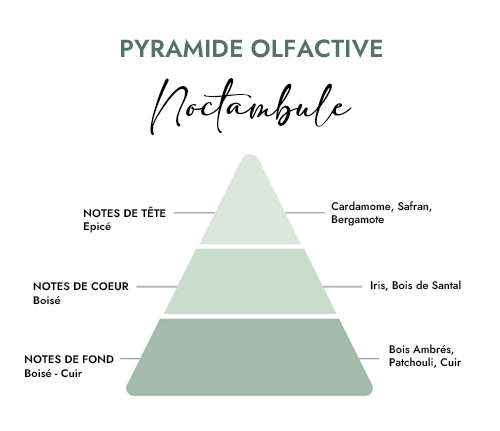 Pyramide olfactive parfum bougie noctambule
