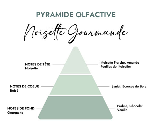 Pyramide olfactive parfum bougie noisette gourmande