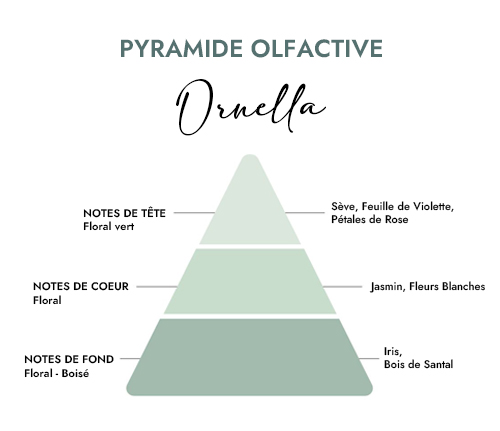Pyramide olfactive parfum bougie ornella