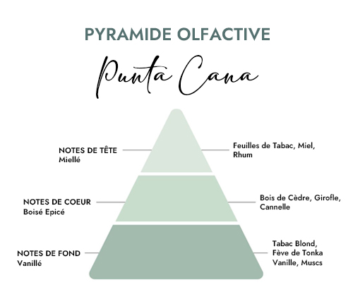 Pyramide olfactive parfum Punta Cana Creacire