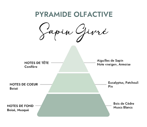 Pyramide olfactive parfum bougie sapin givre