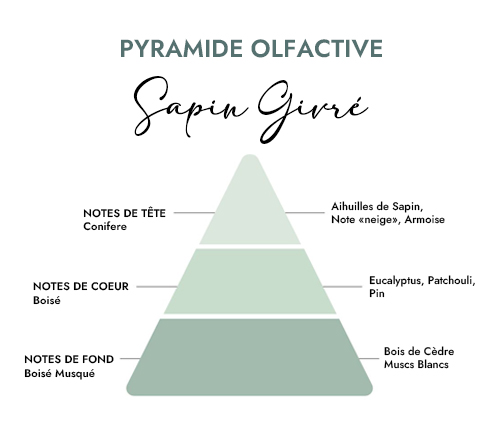 Pyramide olfactive parfum bougie sapin givré