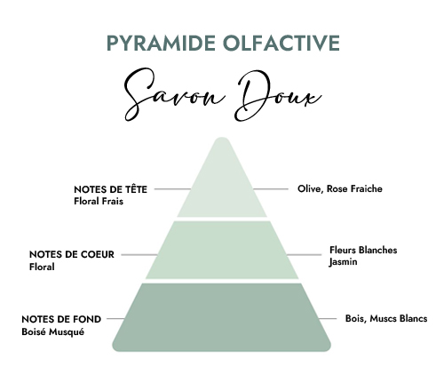 Pyramide olfactive parfum bougie savon doux