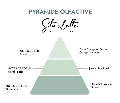 Pyramide olfactive parfum bougie starlette