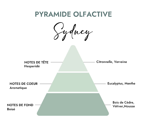 Pyramide olfactive parfum pour bougie Sydney