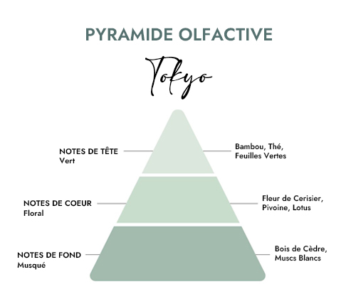 Pyramide olfactive parfum bougie Tokyo
