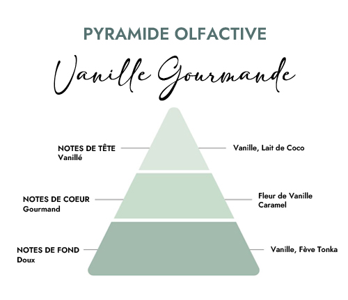 Pyramide olfactive parfum bougie vanille gourmande