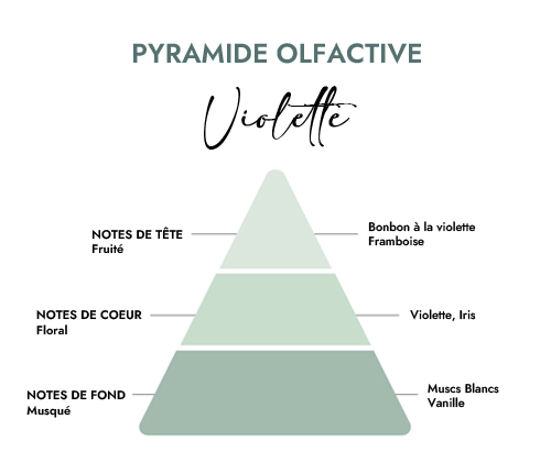 Pyramide olfactive parfum bougie violette