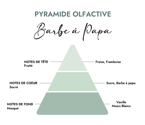 Pyramide olfactive parfum bougie barbe a papa